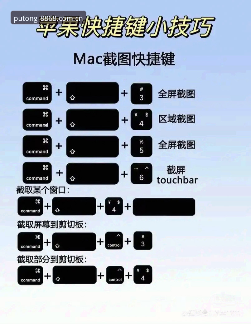8868体育苹果下载使用教程：从入门到精通的正版平台操作指南